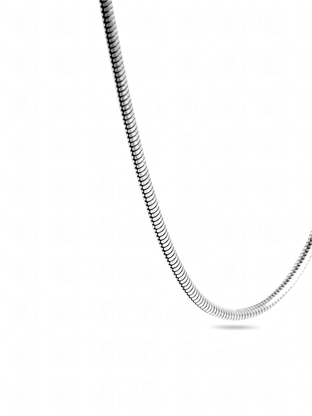 Silver Bold Snake Chain
